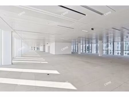 location local professionnel 982m²