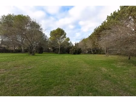 annonce terrain à vendre