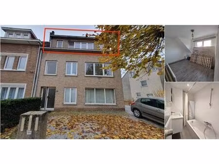 appartement à louer à beigemsesteenweg 195 grimbergen (rbv05608)