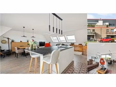 penthouse à vendre à molenstraat 46 v2 hoevenen (rbv05694)