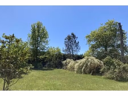 vente terrain 831 m² landiras (33720)