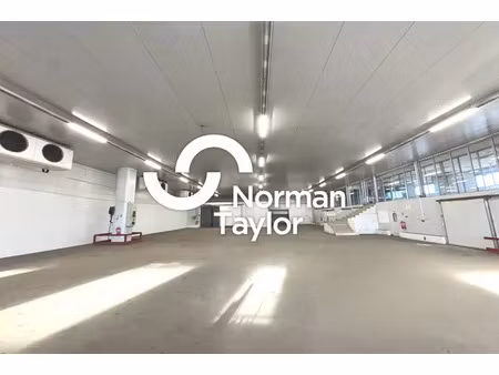 local d'activite a louer