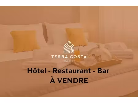 annonce commerce à vendre