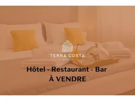 annonce commerce à vendre