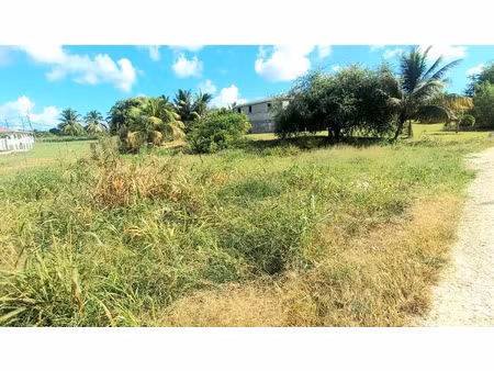 terrain à vendre saint francois 587m2 102 990€