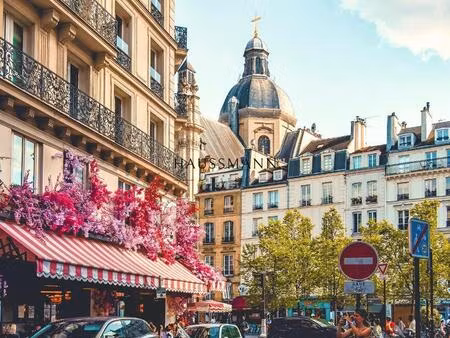 appartement paris ivème