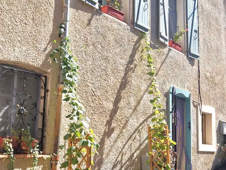 vente maison de village 4 pièces 64m2 bouleternère 66130 - 127000 € - surface privée