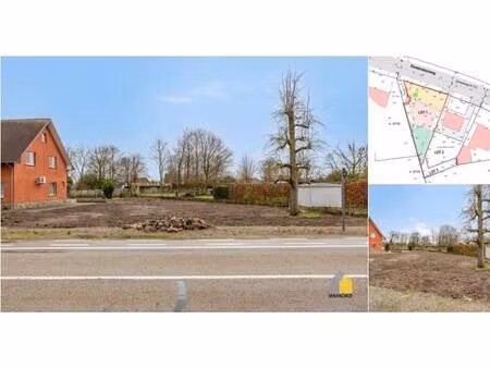 terrain à bâtir à vendre à diestersteenweg 52 maaseik (rbv05565)