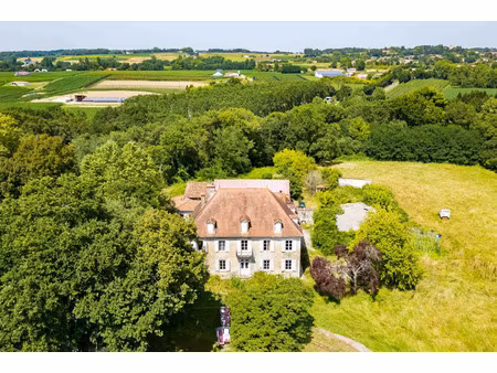 vente maison 12 pièces 545 m² saint-lon-les-mines (40300)