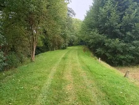 vente bois  forêt et étang à laillé (35890) : à vendre / laillé