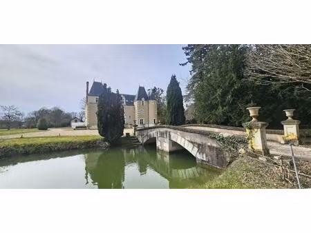 chateau en touraine