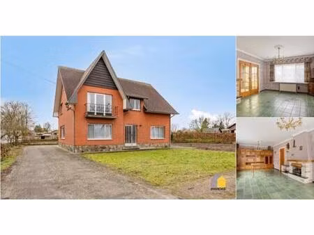 maison à vendre à diestersteenweg 54 maaseik (rbv05564)