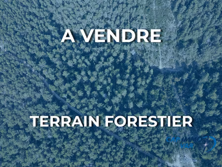 terrain forestier de 19.240m2
