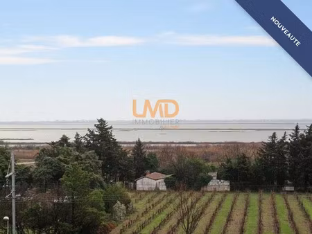 vente appartement 3 pièces 78 m² à frontignan (34110)  340 000 €