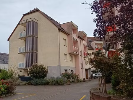bel appartement en duplex sur colmar