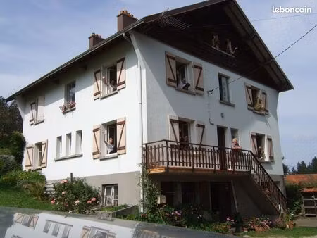 appartement meublé de 40 m2 : cuisine  entrée vestibule  chambre / séjour  sanitaire neuf