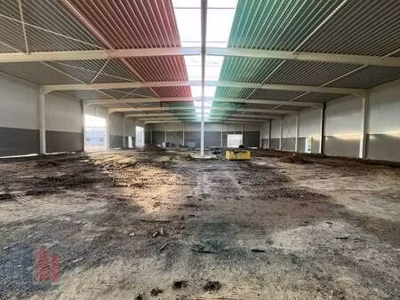 bien professionnel à louer à wichelen € 15.185 (ljtrz) | zimmo