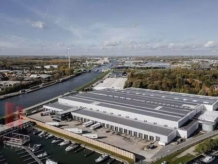 bien professionnel à louer à willebroek € 18.096 (ljty6) - panorama b2b antwerpen | zimmo