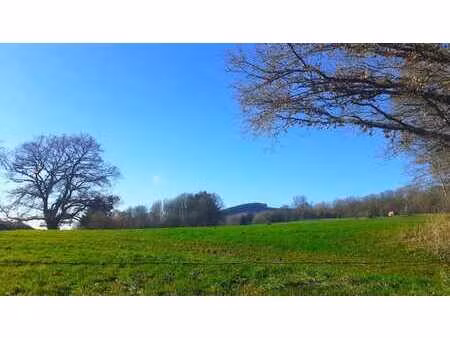 magnifique terr. à bât / à lot. de 1 2ha  à 2 min du centre