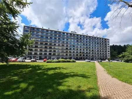 appartement 2 chambres rez