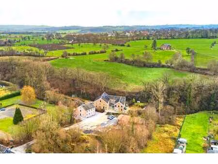 elégante maison de charme avec grand garage et piscine !