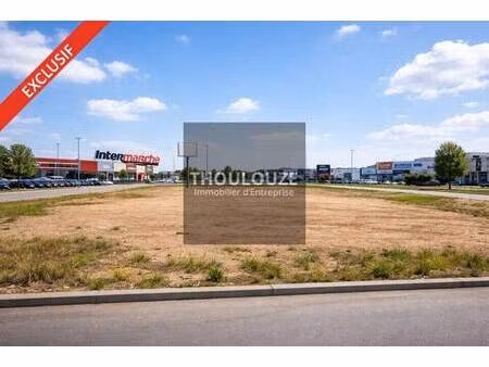 thoulouze immobilier