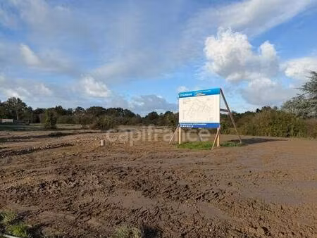 verlant tatiana capifrance