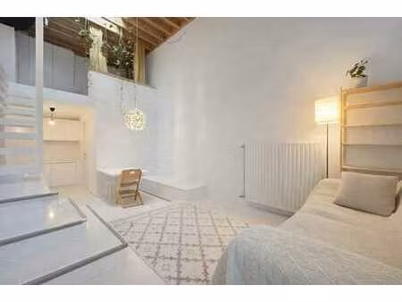 1000 bruxelles - studio mezzanine avec terrase