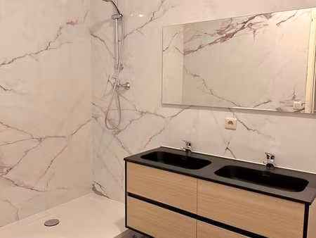 colocation gare du midi