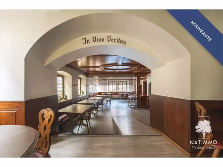 vente locaux professionnels 977 m² à mittelbergheim (67140)  556 500 €