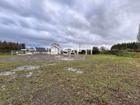 safti coué clémence conseiller indépendant