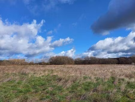 terrain constructible viabilisé à vendre