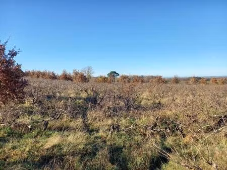 terrain constructible viabilisé à vendre