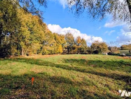 terrain constructible viabilisé à vendre