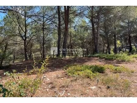 terrain à vendre