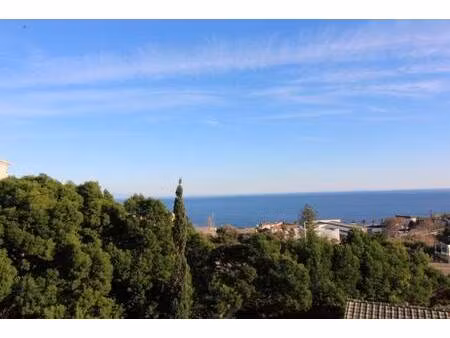 immo de corse bastia