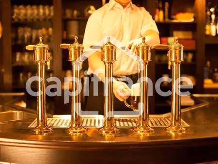 lacheteau sylvain capifrance