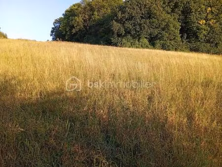 rigaud carenau bsk immobilier