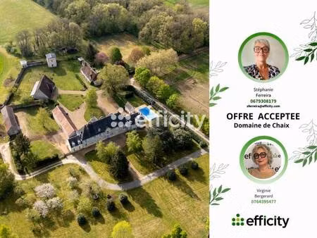 efficity stéphanie ferreira