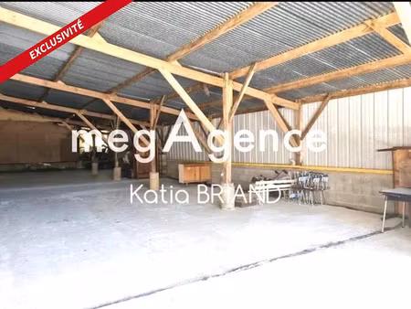 vente immeuble 0 pièces 1350 m² à marigné-peuton (53200)  265 000 €
