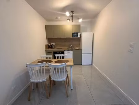 location appartement 2 pièces 40 m² à saintry-sur-seine (91250)