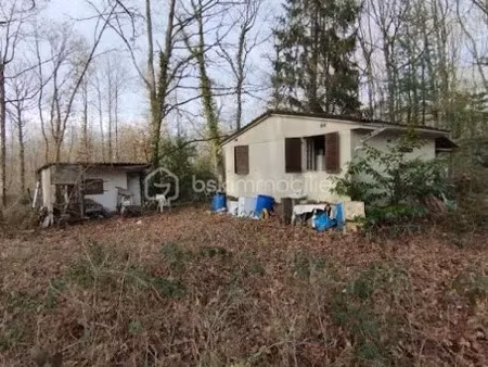 vente terrain 2664 m² à saint-firmin-des-bois (45220)  39 500 €