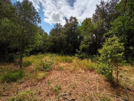 vente terrain 3120 m² à maureillas-las-illas (66480)  13 000 €