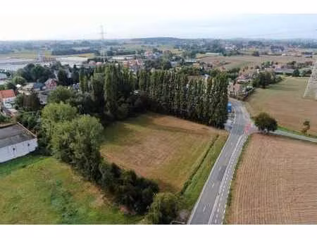 kmo-grond van +/- 7.158 m² te koop vlakbij e17 deerlijk