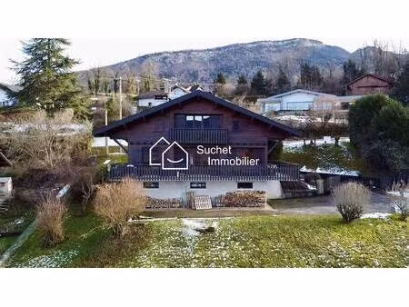 suchet immobilier