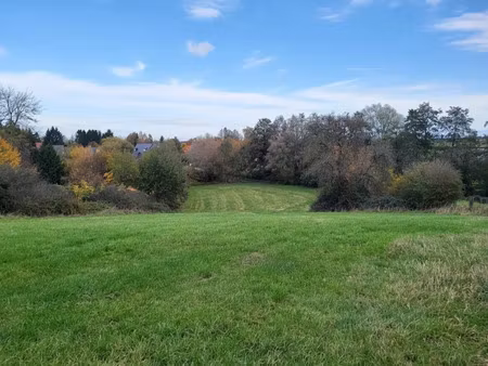 vente terrain 3927 m² à avesnes-sur-helpe (59440)  70 200 €