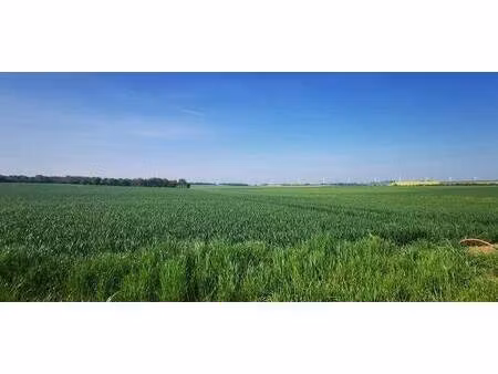 terrain constructible viabilisé à vendre