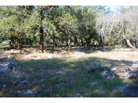 vente terrain 1870 m² à loubressac (46130)  67 000 €