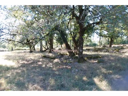 vente terrain 1942 m² à loubressac (46130)  70 000 €