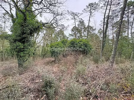 vente terrain 4055 m² à cannes (06400)  87 000 €